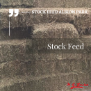 Stock Feed